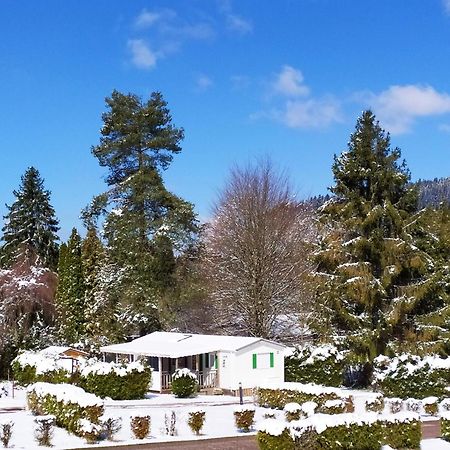Maison Familiale 3 Chambres Au Calme Dans La Nature Gérardmer Zewnętrze zdjęcie