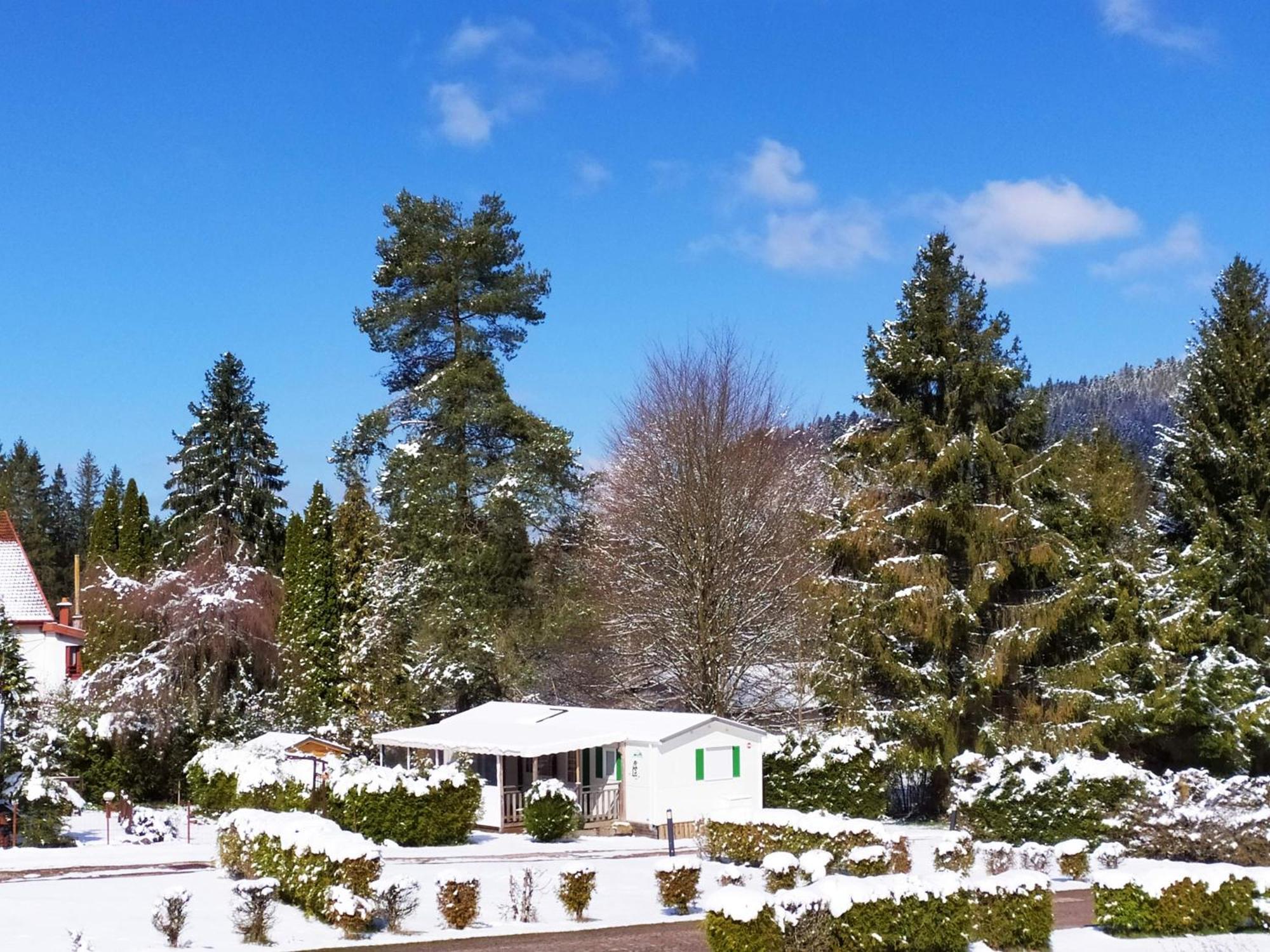 Maison Familiale 3 Chambres Au Calme Dans La Nature Gérardmer Zewnętrze zdjęcie